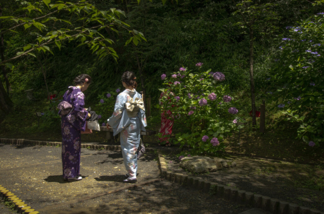 Kyoto. Japón