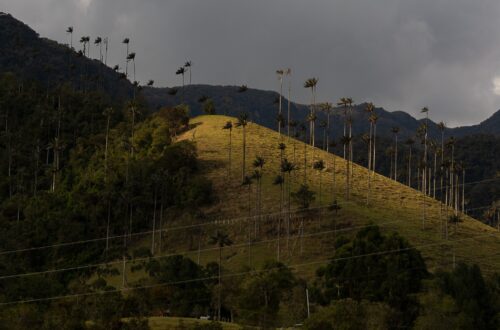 4 Cosas que hacer en Salento, Colombia.